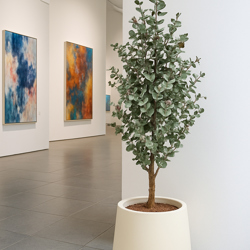 Eucalyptus 'Sweet Gum' 2.1m - artificial plants, flowers & trees - image 2